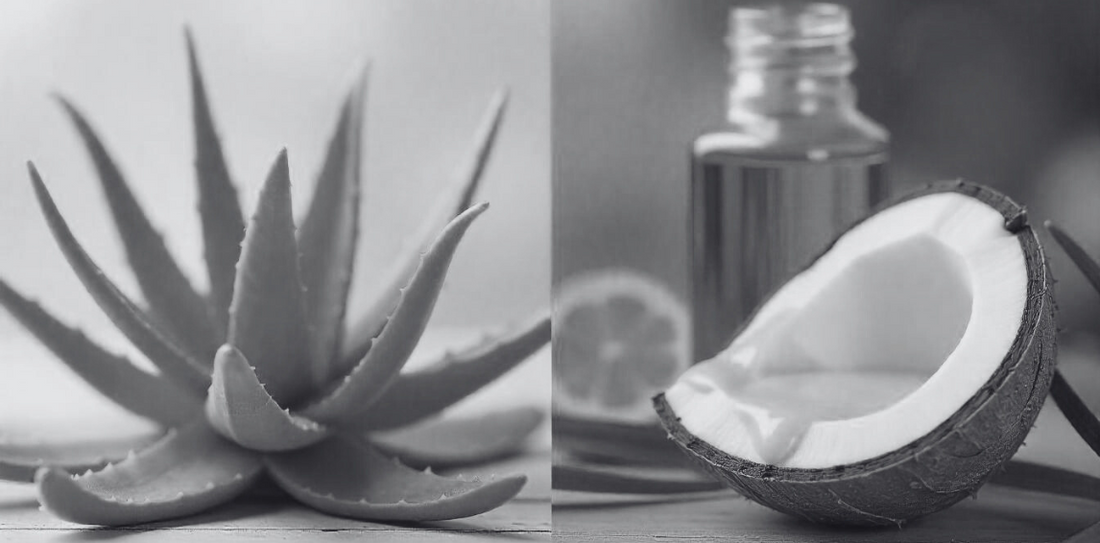 Comment vaincre les pellicules : Solutions efficaces pour un cuir chevelu sain